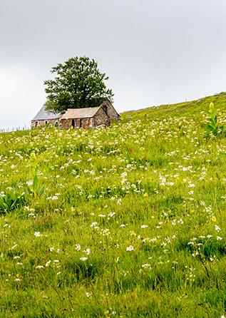 Buron sur l'Aubrac près du chemin Urbain V