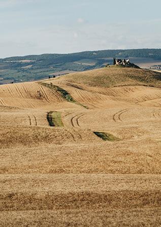 Paysage en Toscane sur la VIa Francigena