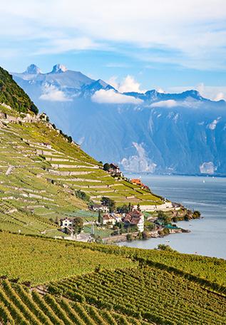 Le Lac Léman, au départ du chemin de Genève