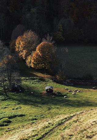 Vallée près de Saint-Bertrand de Comminges sur la Via Garona