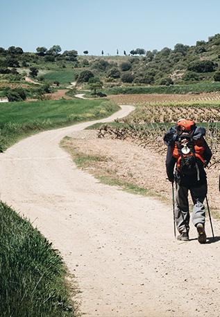 Pèlerins sur le Camino Francès