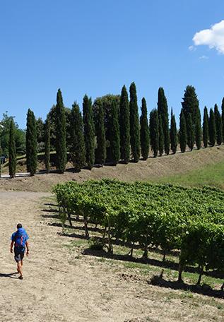 Randonneur sur le chemin de Rome en Toscane Randonneur sur le chemin de Rome en Toscane
