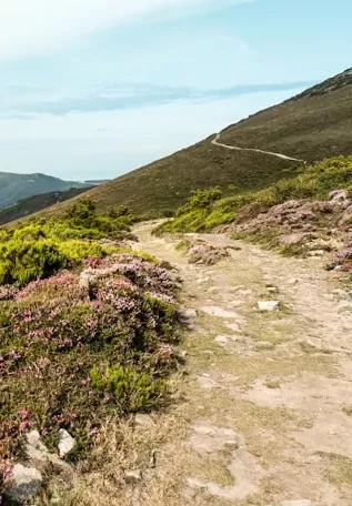 Le chemin d'Oviedo