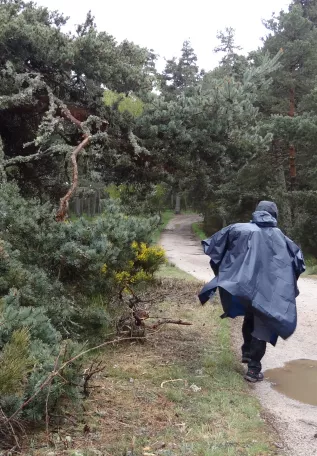 @JP Coudoing La voie du Puy sous la pluie