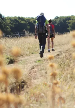 pèlerins sur le chemin de compostelle-sdelaunay
