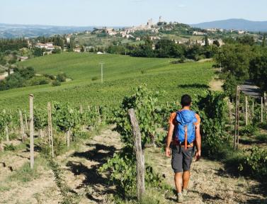 Pèlerin entre Massa et Sienne