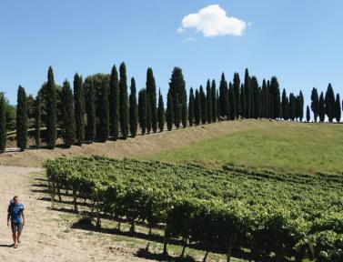 Randonneur en Toscane
