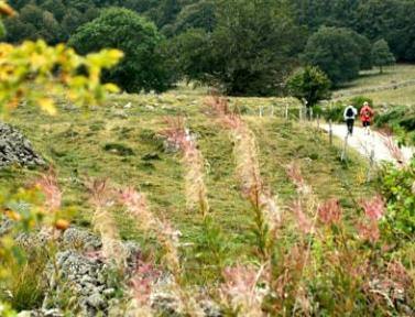 Randonneurs sur le Chemin d'Urbain V