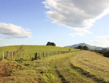 Chemin Basque