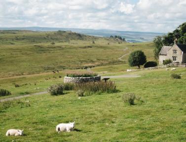 Paysages d'Écosse