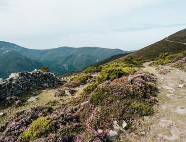 Ambiance sur le Camino del Norte