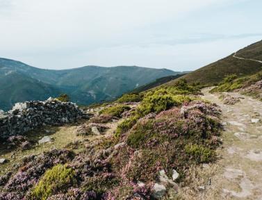 Ambiance sur le Camino del Norte