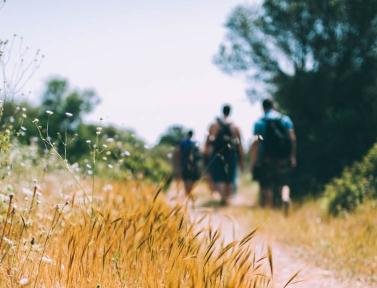 Randonneurs sur le chemin de Saint-François d'Assise