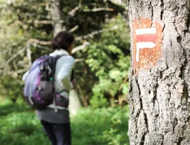 Randonneur sur le chemin de Compostelle