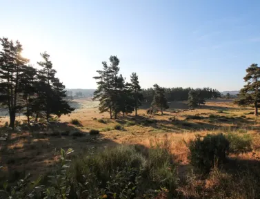 Plateau de l'Aubrac
