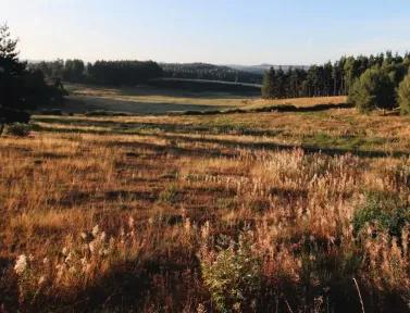 paysage-aubrac