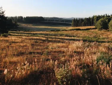 paysage-aubrac