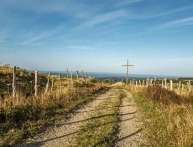 Chemin sur la voie du Puy