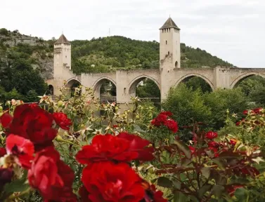 cahors-fleurs