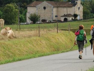 Chemin de Saint-Jacques-de-Compostelle