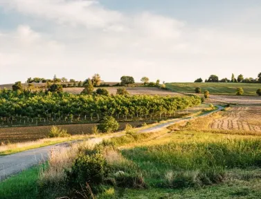 Paysage du Gers