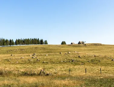 Paysage de l'Aubrac