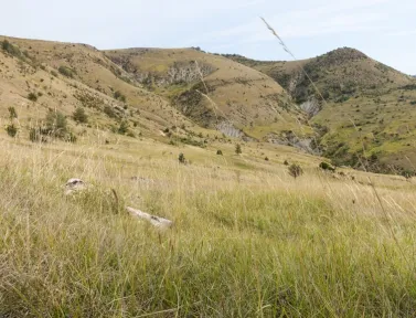 Paysage au départ de Meyrueis