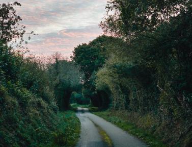 Chemin creux sur le Tro Breizh