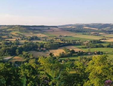 Campagne de Cordes-sur-Ciel