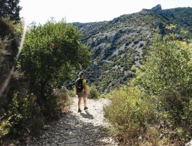 Randonneuse sur le Chemin de Stevenson