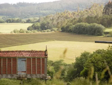 Campagne espagnole après Santiago