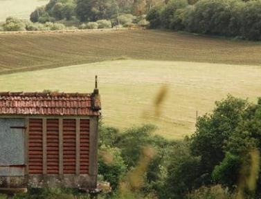 Campagne espagnole après Santiago