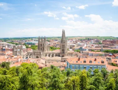 Cathédrale gothique de Burgos