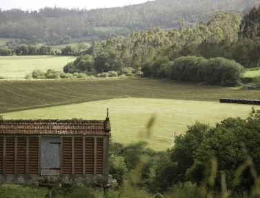 Campagne espagnole après Santiago