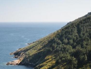 Du Cap au Finisterre Camino Frances