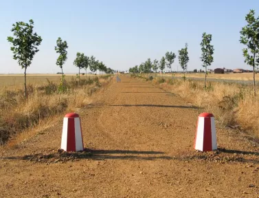 Chemin de Saint-Jacques-de-Compostelle