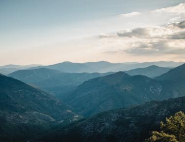tiago-eira-unsplash