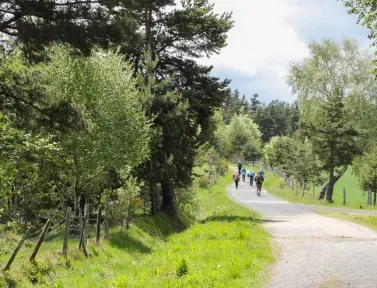 chemins-compostelle-groupe