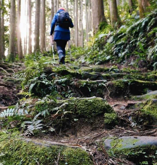 Pèlerin sur l'un des chemins du Kumano Kodo