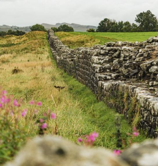 Paysage le long du Mur d'Hadrien