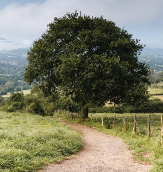 Commune de Grado sur le Camino Primitivo