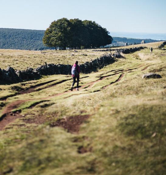 Plateau de l'Aubrac