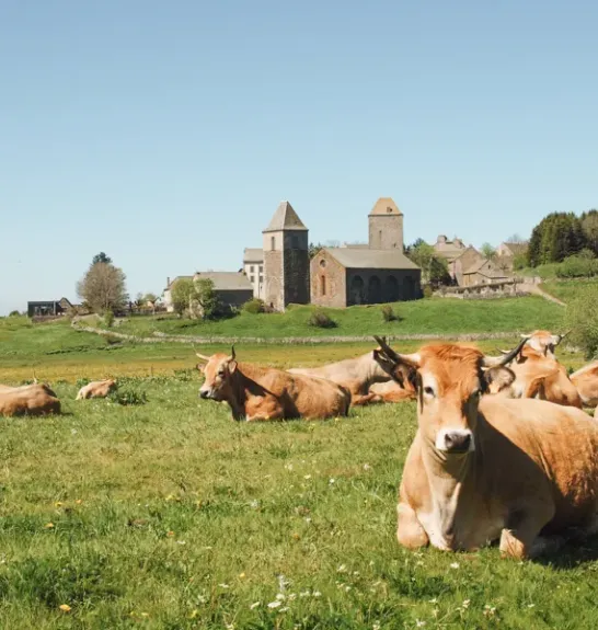Aumont-Aubrac