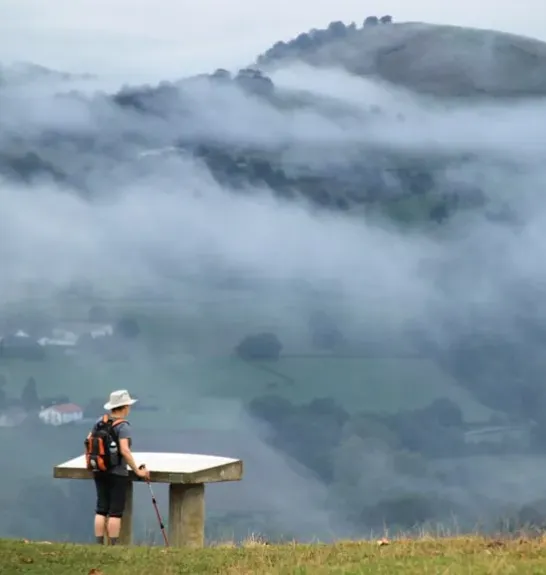 Brume matinale après Navarrenx