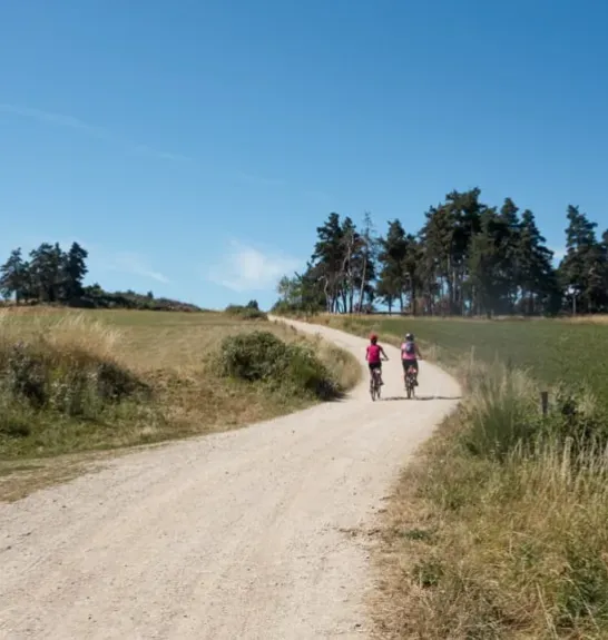 Randonnée en vélo sur le chemin de Compostelle