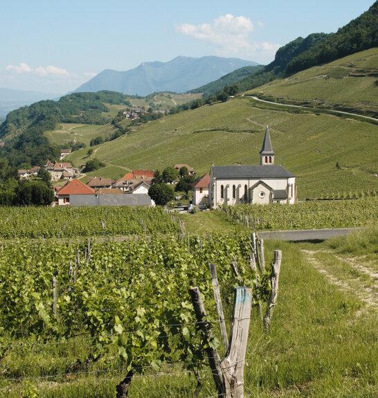 Entre Chanaz et Yenne village de Jongieux