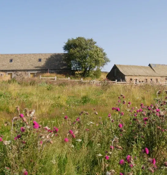 Burons sur le plateau de l'Aubrac