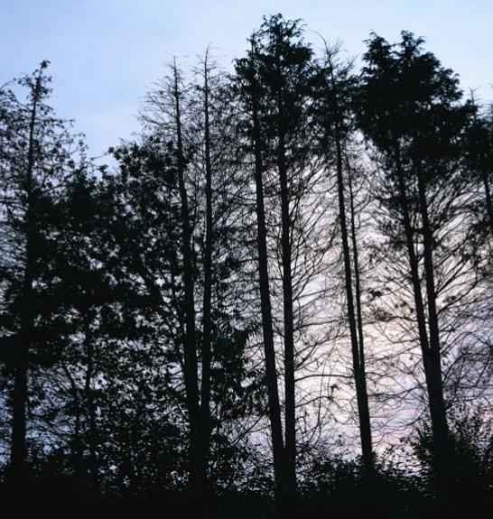 Paysage le long du Tro Breizh