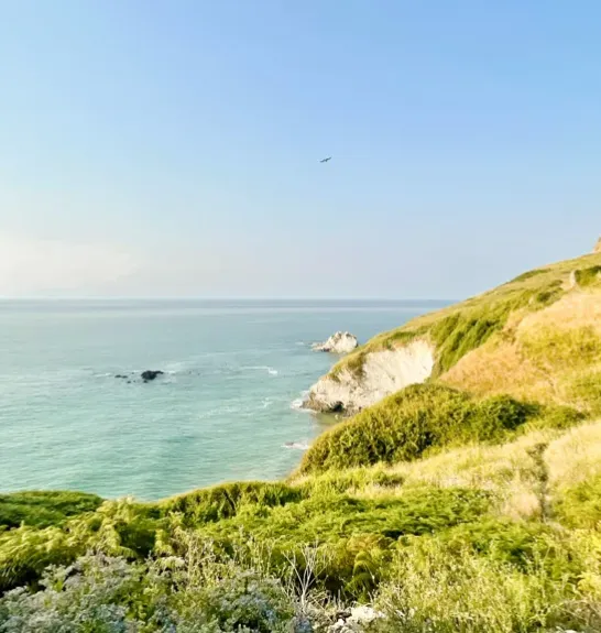 Laredo, Camino del Norte