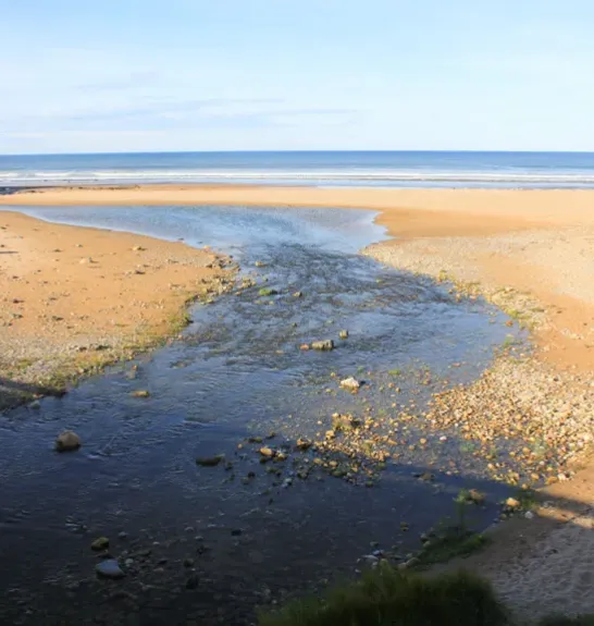 Randonnée à proximité de Vega